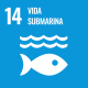 ODS 14. Vida submarina